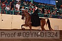 09yn-01324 proof