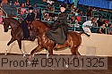 09yn-01325 proof