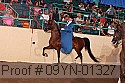 09yn-01327 proof