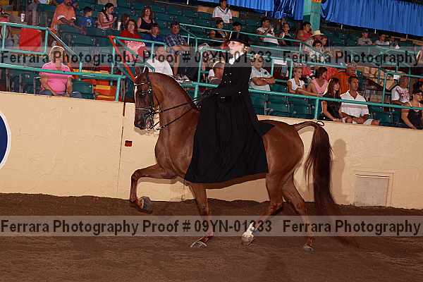 Proof 09yn-01333