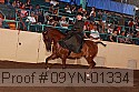 09yn-01334 proof