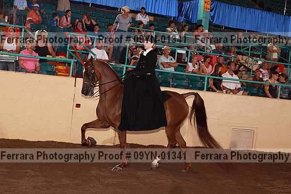 Proof 09yn-01341