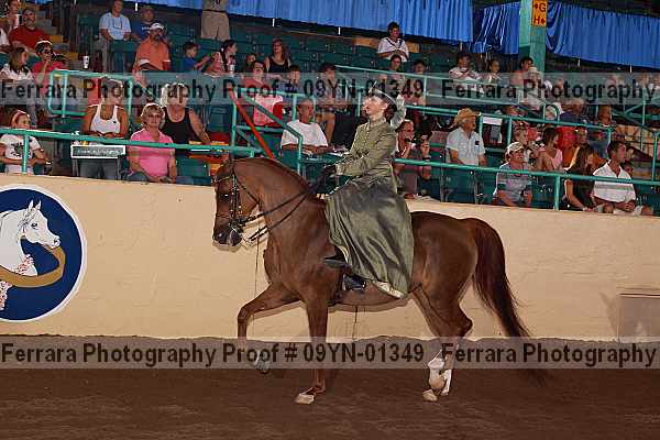 Proof 09yn-01349