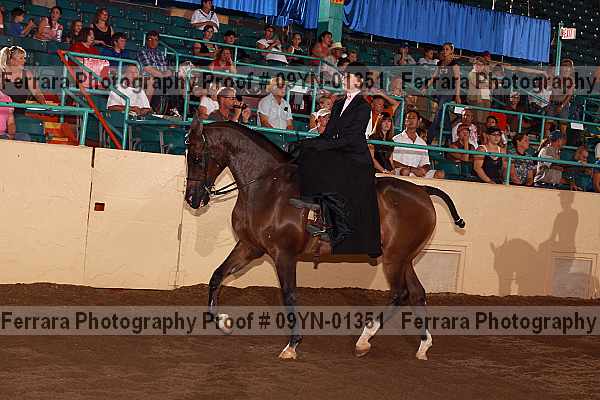 Proof 09yn-01351