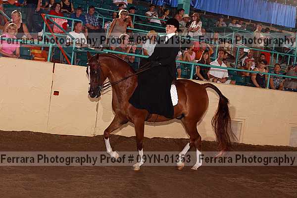 Proof 09yn-01353