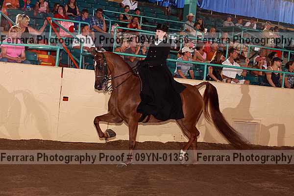 Proof 09yn-01356