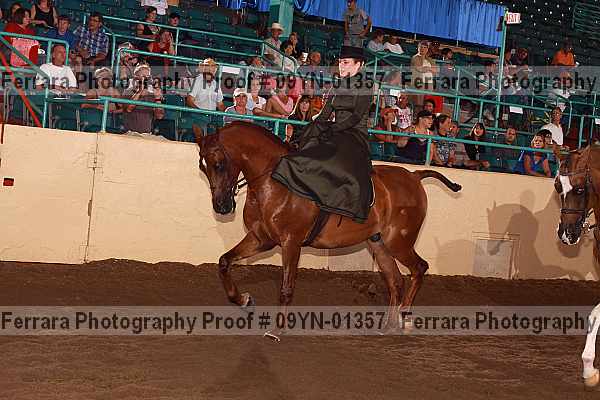 Proof 09yn-01357