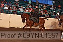 09yn-01357 proof