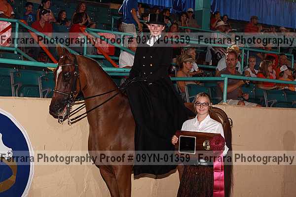 Proof 09yn-01359