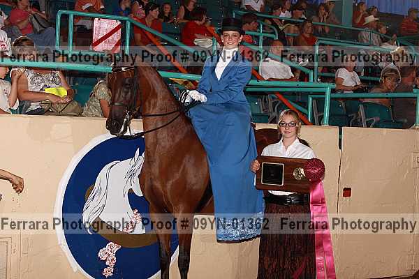Proof 09yn-01362