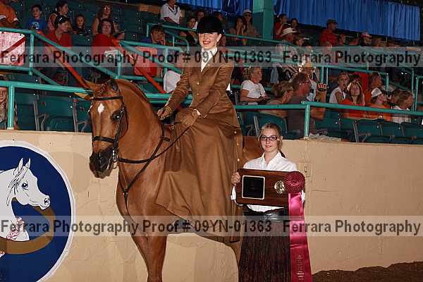Proof 09yn-01363