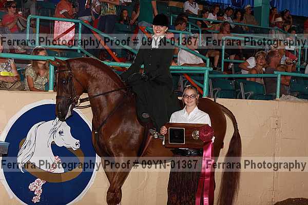 Proof 09yn-01367