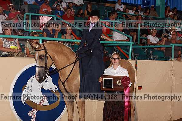 Proof 09yn-01368