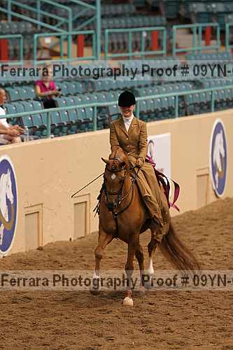 Proof 09yn-01399