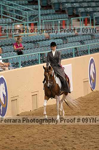Proof 09yn-01406