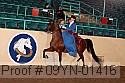 09yn-01416 proof