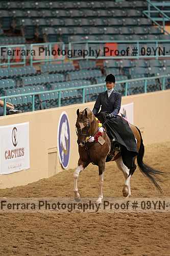 Proof 09yn-01417