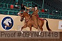 09yn-01418 proof