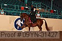 09yn-01427 proof