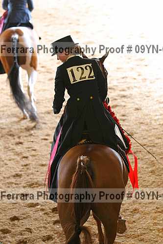 Proof 09yn-01443