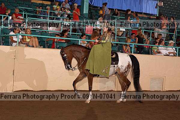 Proof 09yn-07041