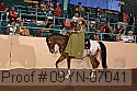 09yn-07041 proof
