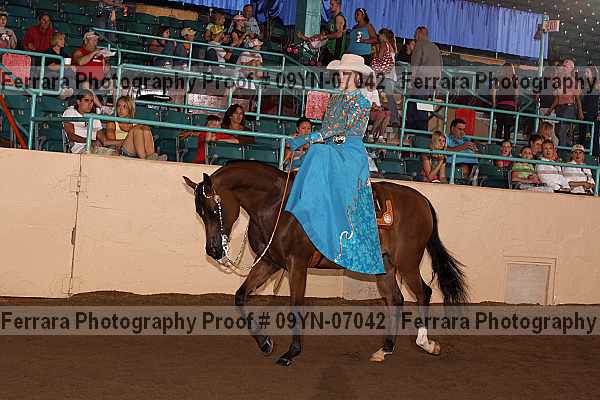 Proof 09yn-07042