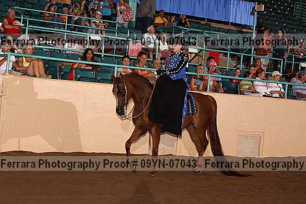 Proof 09yn-07043