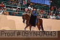 09yn-07043 proof
