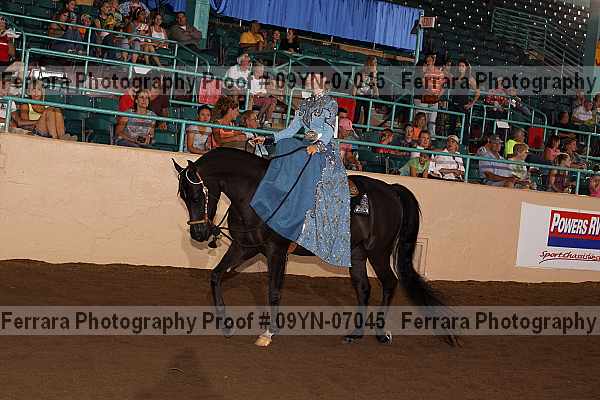 Proof 09yn-07045