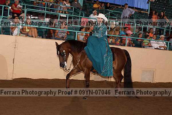 Proof 09yn-07046