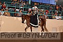 09yn-07047 proof