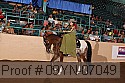 09yn-07049 proof