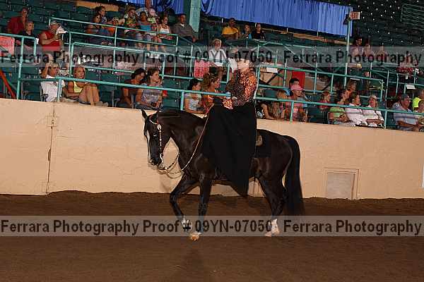 Proof 09yn-07050