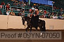 09yn-07050 proof