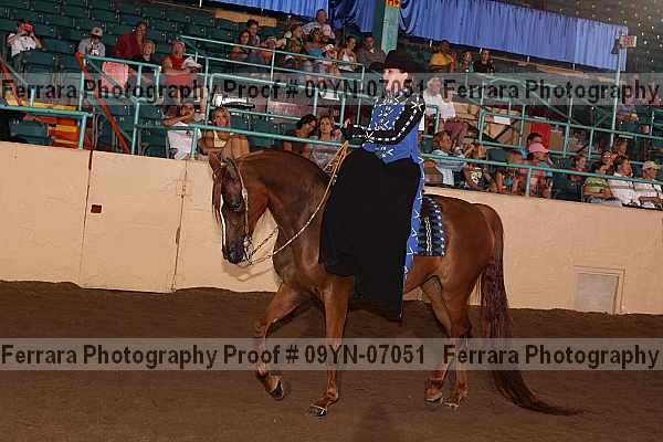 Proof 09yn-07051
