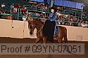 09yn-07051 proof