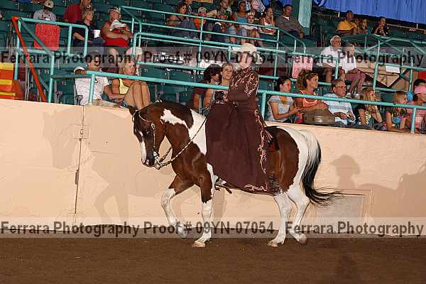 Proof 09yn-07054