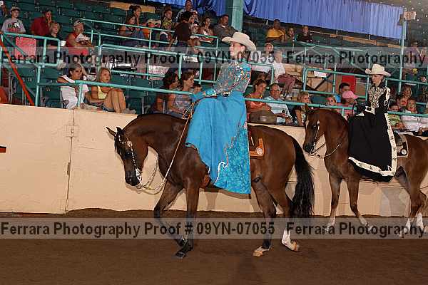 Proof 09yn-07055