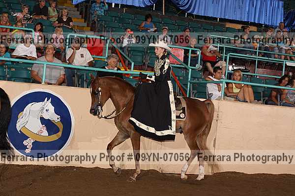 Proof 09yn-07056