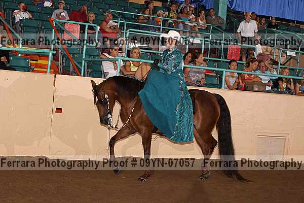 Proof 09yn-07057