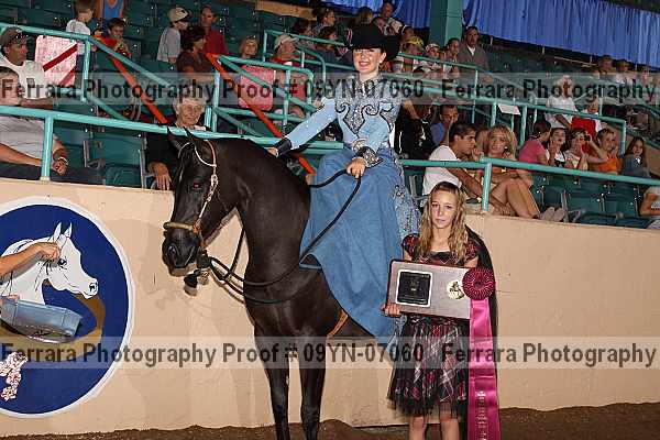 Proof 09yn-07060