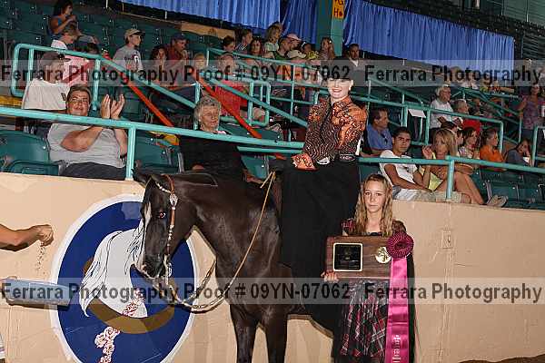 Proof 09yn-07062