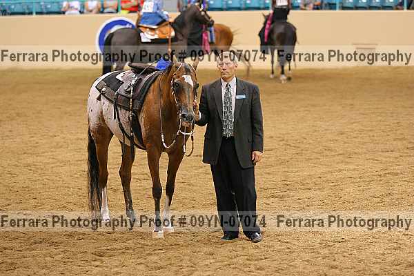 Proof 09yn-07074