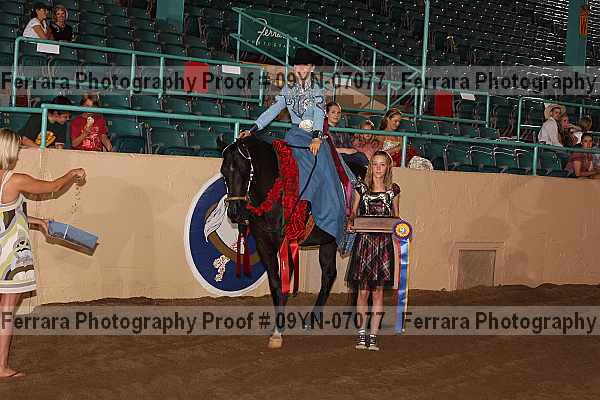 Proof 09yn-07077