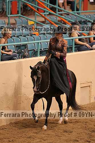 Proof 09yn-07092