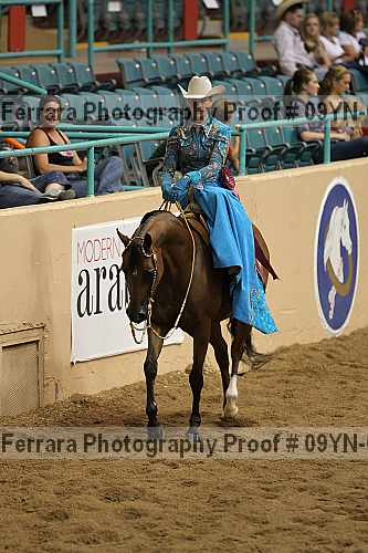 Proof 09yn-07093