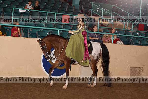 Proof 09yn-07094