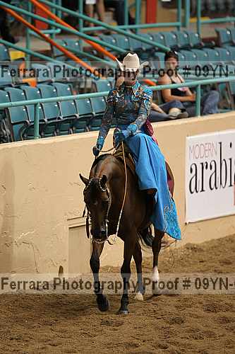 Proof 09yn-07095