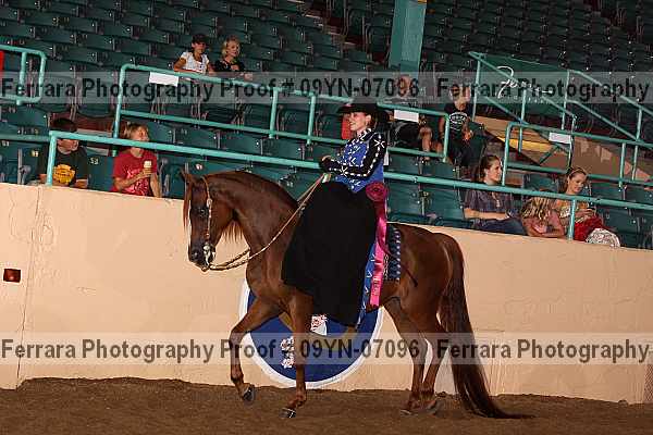 Proof 09yn-07096